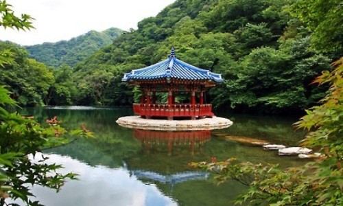6岁孩子胳膊上有小疙瘩-6岁宝宝手臂上全是小包包网 - 为你提供6岁宝宝手臂上全是小包包怎么回事、6岁孩子胳膊上有小疙瘩