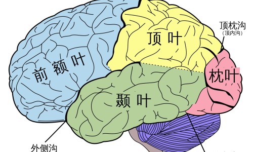 6岁宝宝手臂上全是小包包网 - 为你提供6岁宝宝手臂上全是小包包怎么回事、6岁孩子胳膊上有小疙瘩